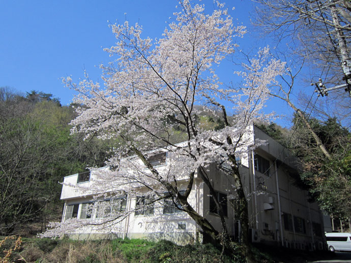 はぐくみ園風景